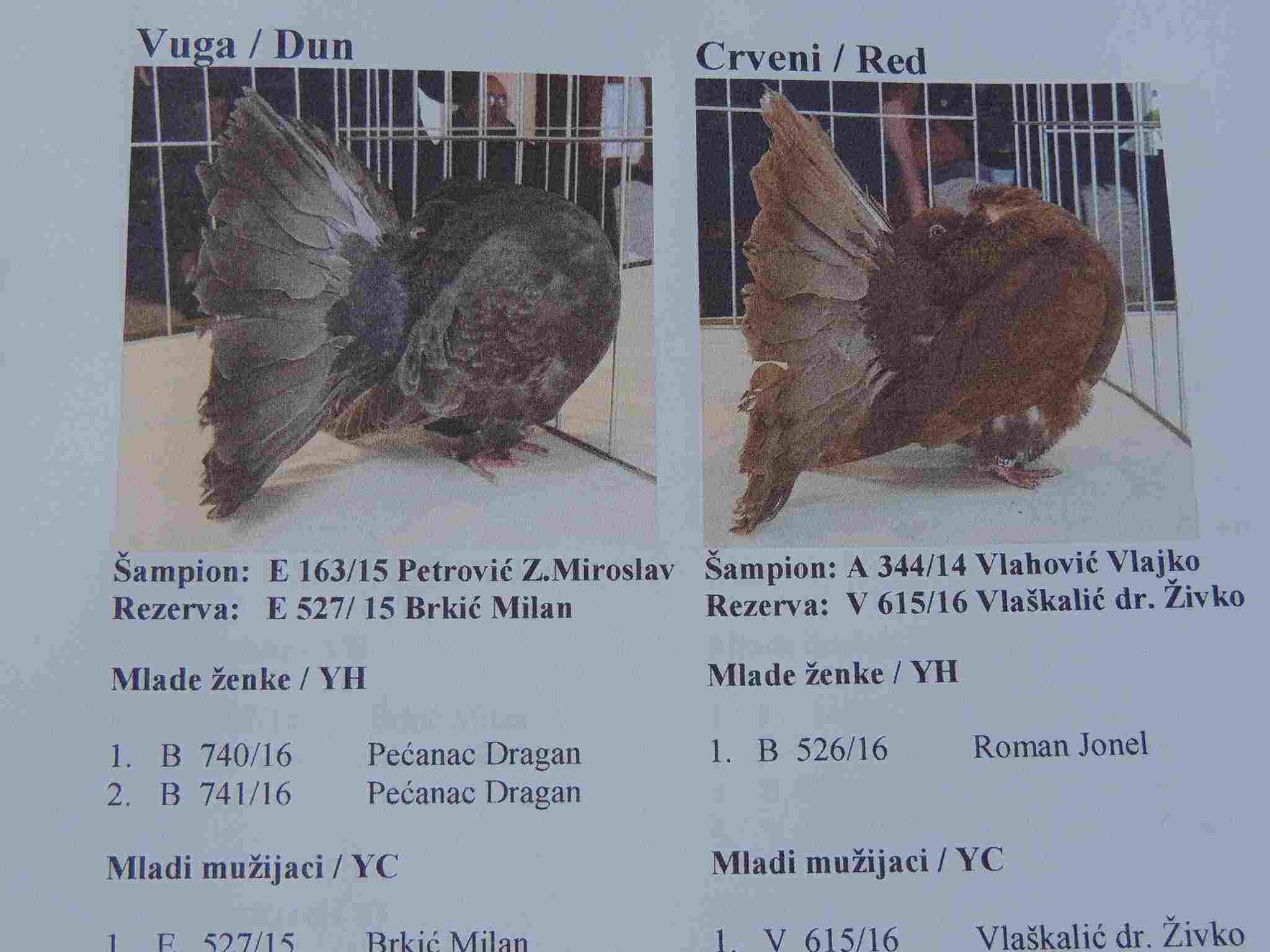 Plaketa sa takmičenja u golubarstvu