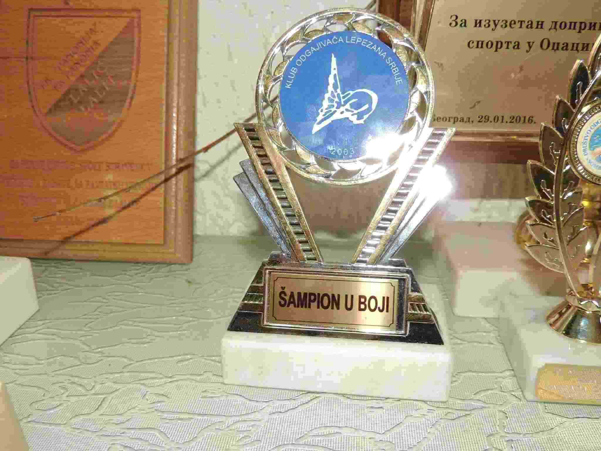 Trofej sa takmičenja u golubarstvu